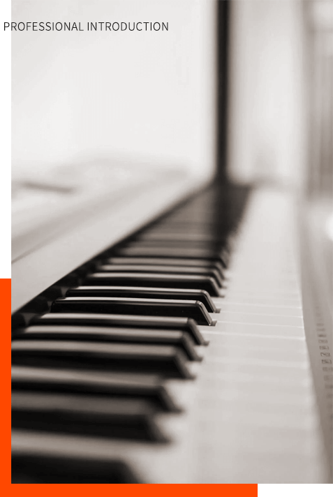 九大專(zhuān)業(yè)全面覆蓋